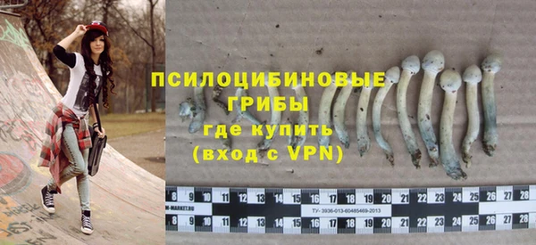 СК Беломорск