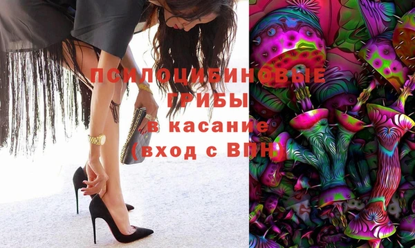 СК Беломорск