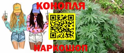 гашишное масло Аргун