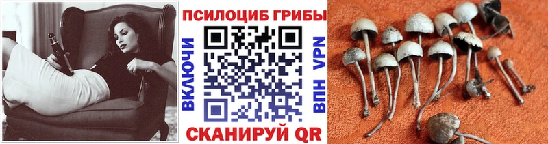 OMG вход  Бузулук  Галлюциногенные грибы мухоморы  наркотики 