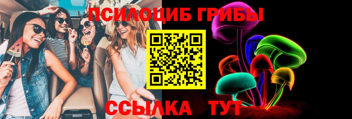 Галлюциногенные грибы GOLDEN TEACHER  Галлюциногенные грибы Psilocybine cubensis  Вход с VPN  Бузулук 